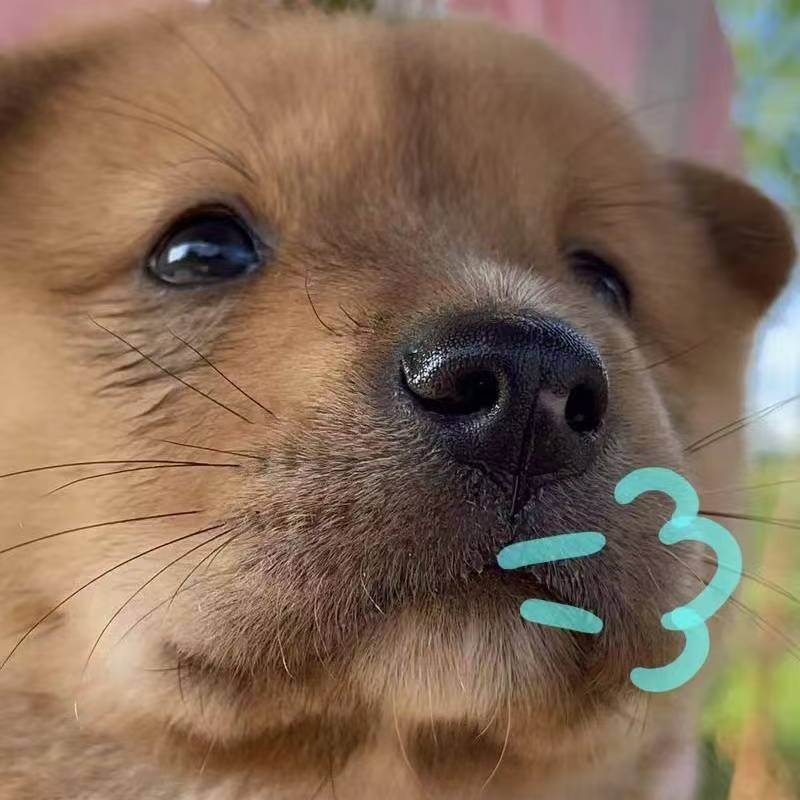 头像 头像